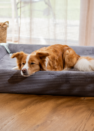 Hundebett KUDDE Cord