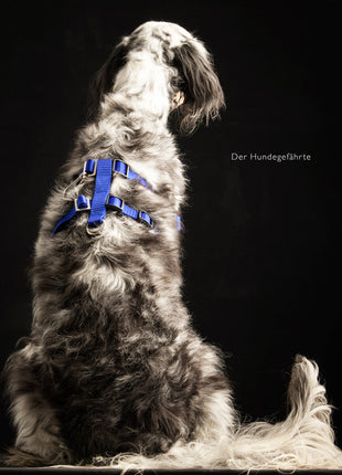 Anti-Stress-Geschirr STURMFREI® Saver für kleine bis mittlere Hunde