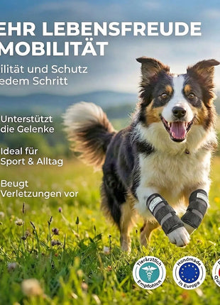 Sportbandage für Hunde