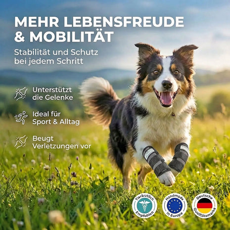 Sports bandage for dogs