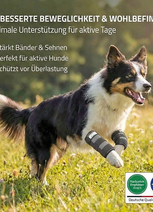 Sportbandage für Hunde