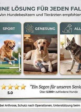 Sportbandage für Hunde