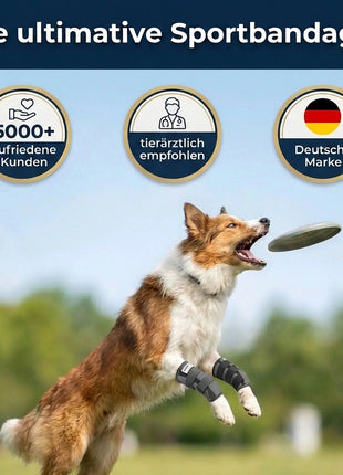 Sportbandage für Hunde