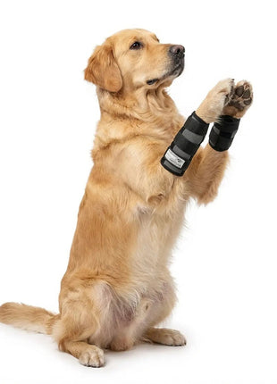 Sportbandage für Hunde