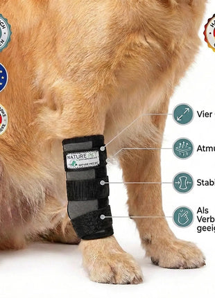 Sportbandage für Hunde