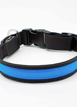 LED Hundehalsband, Stabiles Nylon mit USB Anschluß