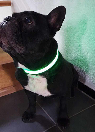 LED Hundehalsband, Stabiles Nylon mit USB Anschluß