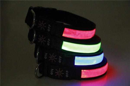 LED Hundehalsband, Stabiles Nylon mit USB Anschluß