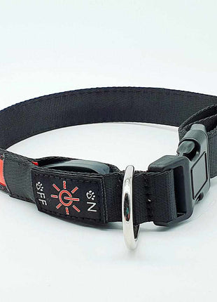 LED Hundehalsband, Stabiles Nylon mit USB Anschluß