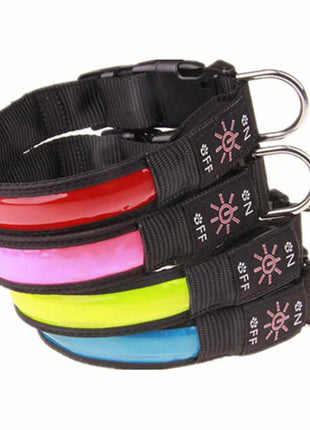 LED Hundehalsband, Stabiles Nylon mit USB Anschluß