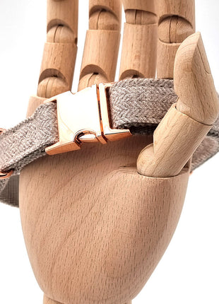 Süßes Hundehalsband mit Namen, graviert auf Schnalle