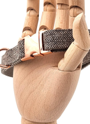 Süßes Hundehalsband mit Namen, graviert auf Schnalle