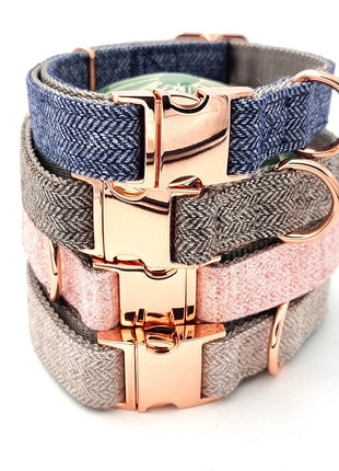 Süßes Hundehalsband mit Namen, graviert auf Schnalle