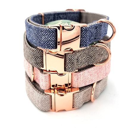 Süßes Hundehalsband mit Namen, graviert auf Schnalle