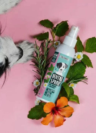 Basic Bundle von Tierliebhaber