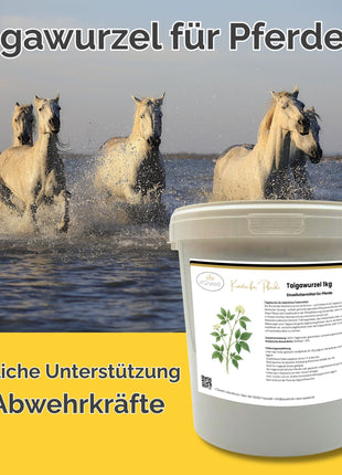 Taigawurzel Pferd 1kg