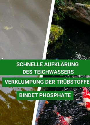 Teichklar Ultra - für einen klaren Teich - Aqua-Cereal®
