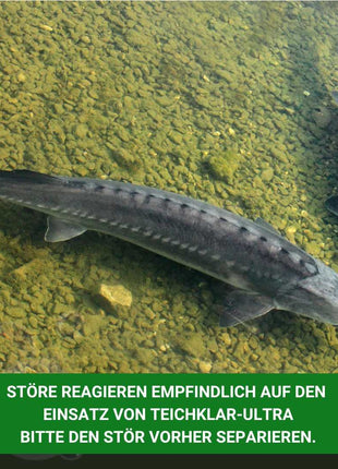 Teichklar Ultra - für einen klaren Teich - Aqua-Cereal®