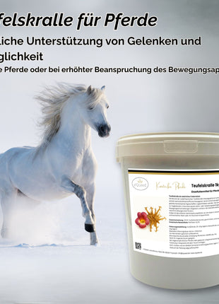 Teufelskralle Pferd geschnitten 1kg