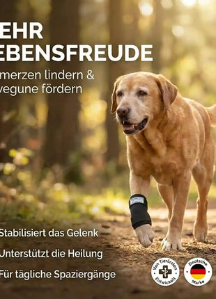 Durchtrittigkeits Bandage für Hunde mit Turbocast