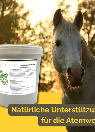 Thymian Pferd 1kg