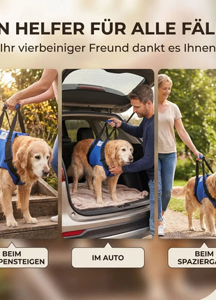 Vordere Tragehilfe für Hunde
