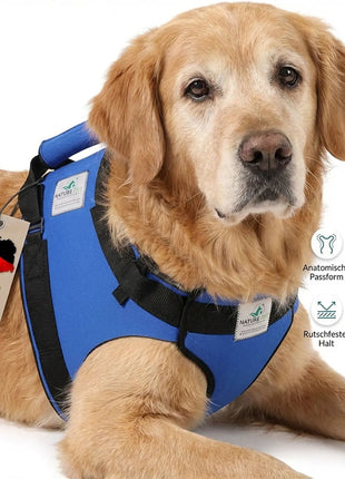 Vordere Tragehilfe für Hunde