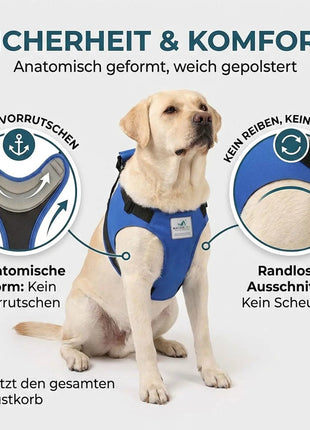 Vordere Tragehilfe für Hunde