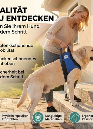 Vordere Tragehilfe für Hunde