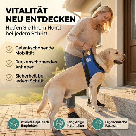 Front support for dogs
