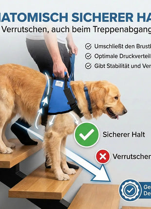 Vordere Tragehilfe für Hunde