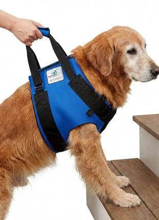 Vordere Tragehilfe für Hunde