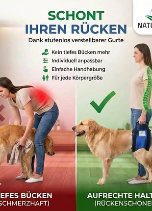 Hunde Tragehilfe hinten