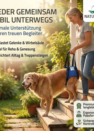 Hunde Tragehilfe hinten