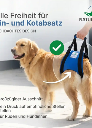 Hunde Tragehilfe hinten