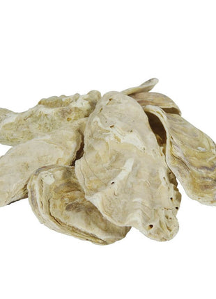 Austernschalen 5 kg natürliche Aufhärtung
