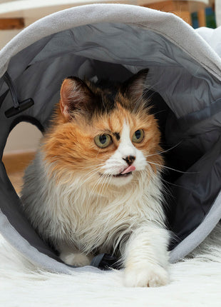 V15H55255FEF48A146F0177DBF9CE0090F51R5276449P7