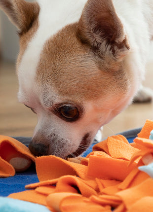 V14HDDF0A96E0680113062507D52BC7E2FD8R5257728P3