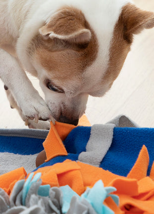 V14HDF248859FFF063C18BDA0487643207EDR5257736P5