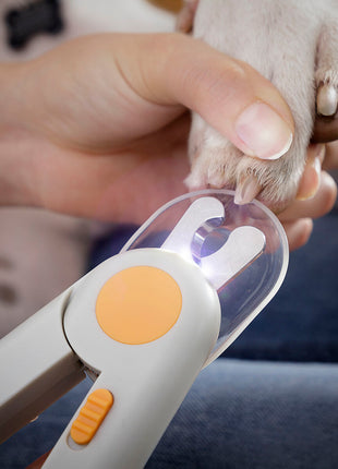 V14H605B63F9AEADA89363B8CCDAC64BE531R5278297P3