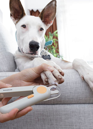 V14H22B3C32E50E2B7A3E0610B0C52E3372BR5278299P4