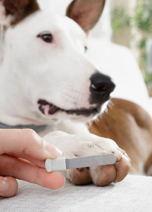 V14H344D37E4C28BA3F423F8A63CE8D5E304R5278303P6