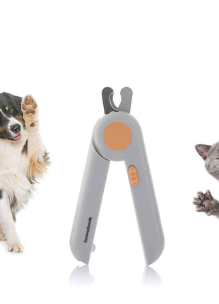 V14H06676DAF6DA149576419335F3BC55B9BR5278309P9