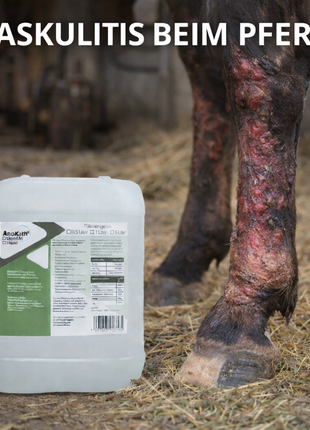 AnoKath® Liquid – unterstützende Begleitung bei Vaskulitis beim Pferd