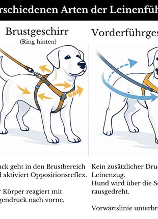 Vorderführgeschirr STURMFREI® Saver (19 mm) – höhenverstellbar aus BioThane® - Extra-Sicherung