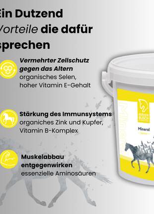 Krähenbusch® Mineral Senior