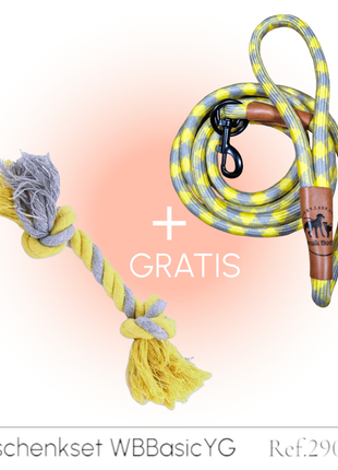 Hundeleine grau gelb Angebot mit gratis Tauseil zum spielen und zerren