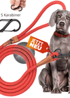 Rot + Karabiner / M bis 20kg