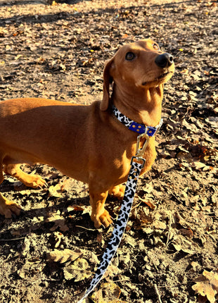 Halsband Blueberry
