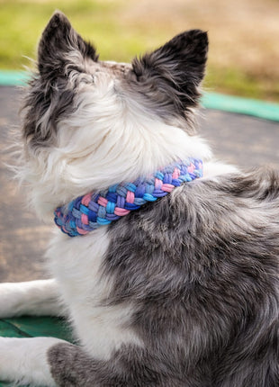 Handgemachtes Paracord-Hundehalsband Bubblegum